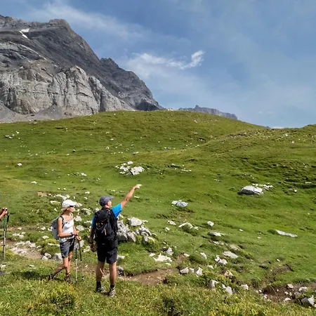 Апартаменты Anemone 11 - 2 Cosy, Balcon Plein Sud Avec Vue Sur Les Montagnes Грион